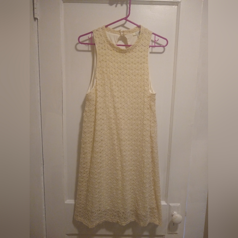 Francesca's ladies L lace sleeveless dress, NWT